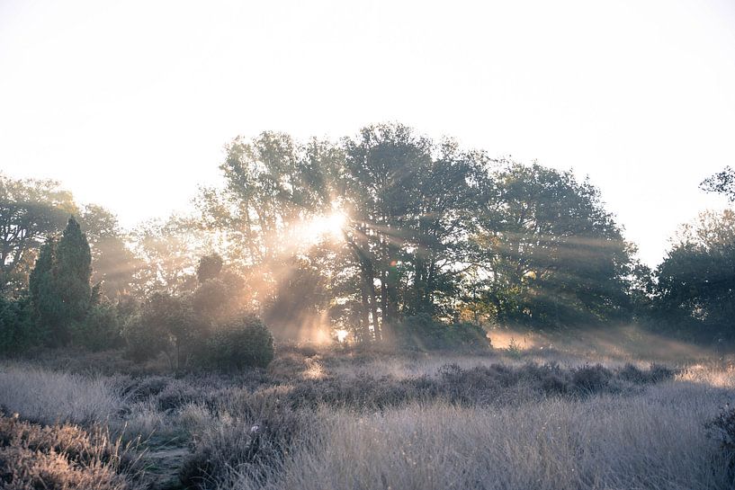 Lever de soleil Buursezand Twente par Maureen Materman