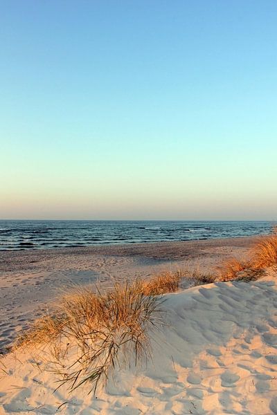Abendsonne im März von Ostsee Bilder