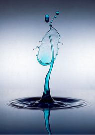 Splash One. by Remco van Belle