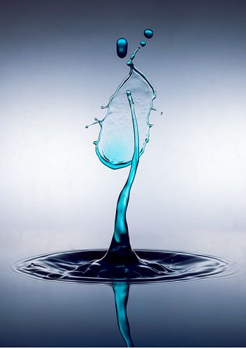 Splash One. by Remco van Belle