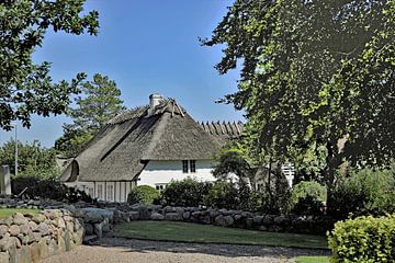 Huis met rieten dak in Hjörring, Denemarken. van Tjamme Vis