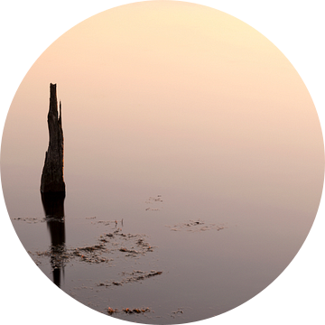 Reflectie.. van Miranda van Hulst