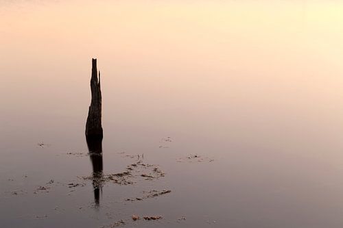 Reflection .. by Miranda van Hulst
