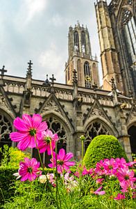 Domtoren en Domkerk in Utrecht met bloemen in het Pandhof in de voorgrond van Sjoerd van der Wal Fotografie