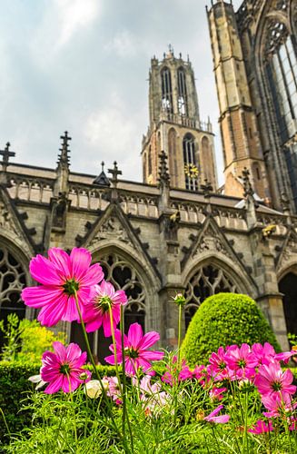 Domtoren en Domkerk in Utrecht met bloemen in het Pandhof in de voorgrond