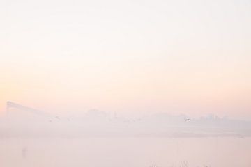 Magic fog in Driemanspolder by Danielle Kramer