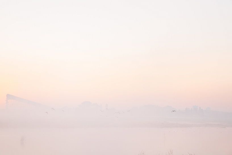 Zaubernebel in Driemanspolder von Danielle Kramer