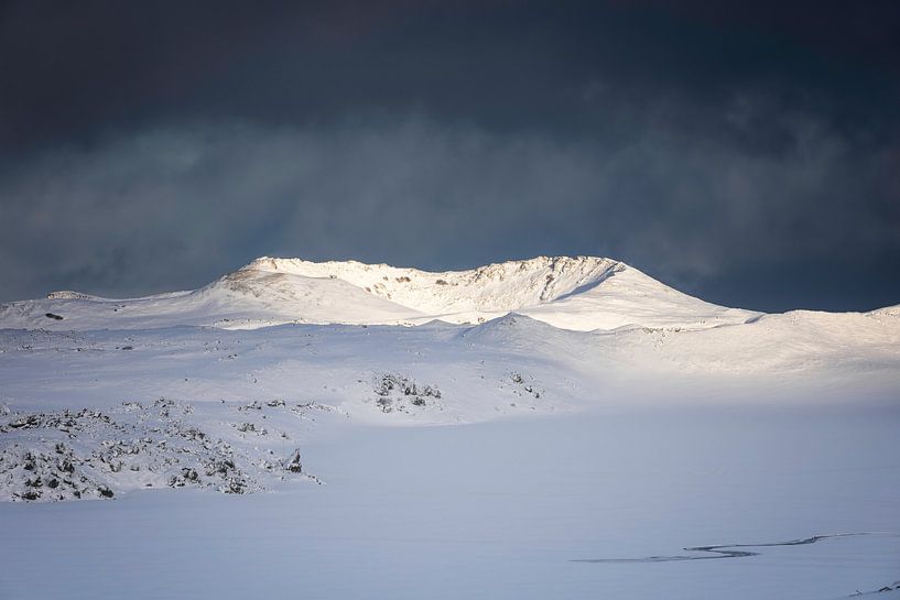 Rising sun by Hans Soowijl