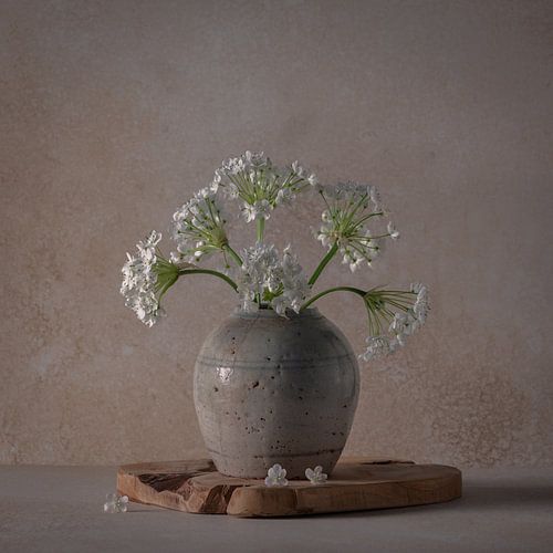 Nature morte, Allium blanc dans un pot de gingembre antique