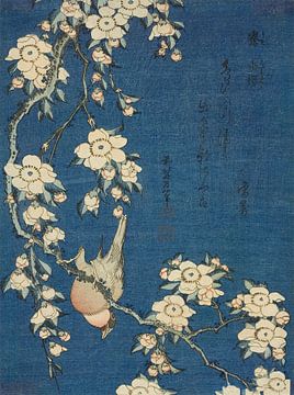 Bouvreuil et cerisier pleureur, Katsushika Hokusai