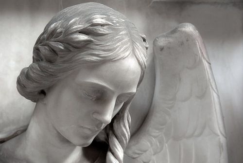 Angel girl