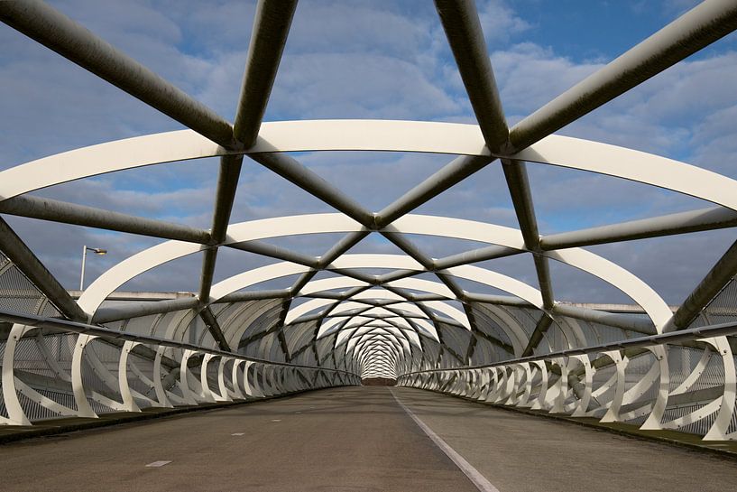 Bicycle bridge De Netkous in Rotterdam in HDR by W J Kok