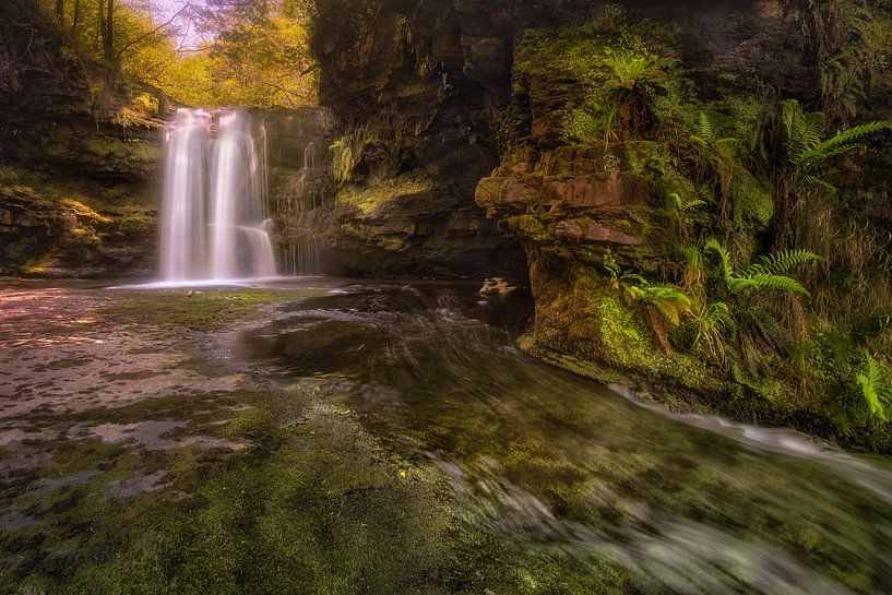 A stream of living water by Sander Poppe