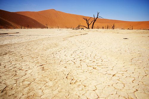 Sossusvlei, Namibia