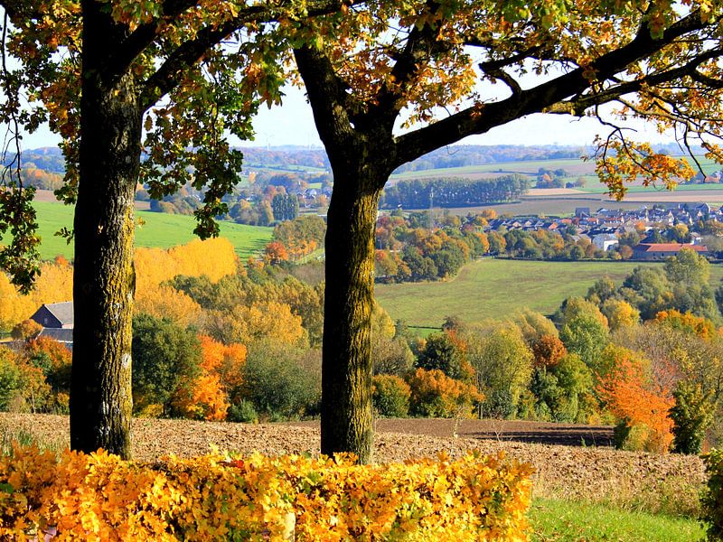 View from Gulperberg by Harrie Beuken