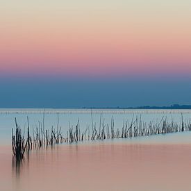 Coucher de soleil sur l'Escaut oriental sur B-Pure Photography