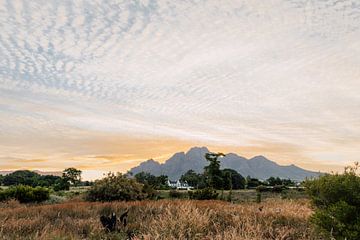 Het witte wijnhuis | Zuid-Afrika Reisfotografie van Yaira Bernabela