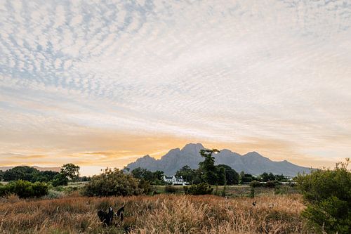 Die Berge | Südafrika Reisefotografie