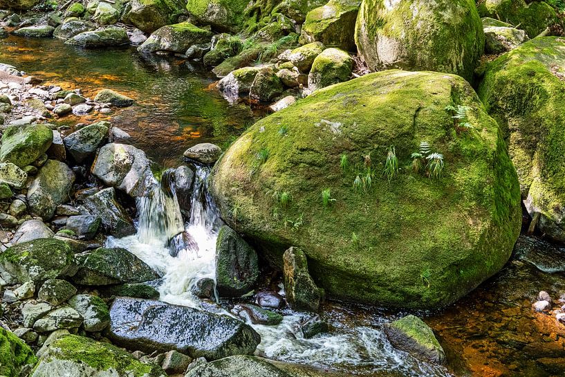 Vue des chutes d'eau de la rivière Ilse dans les montagnes du Harz. par Andreas Völkel