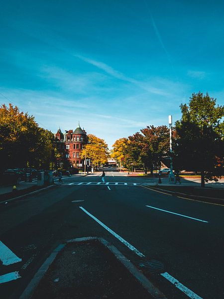 Boston by Hello Pompoyo
