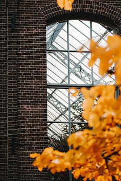 Herbst im Hortus Botanicus | Amsterdam von Marika Huisman fotografie