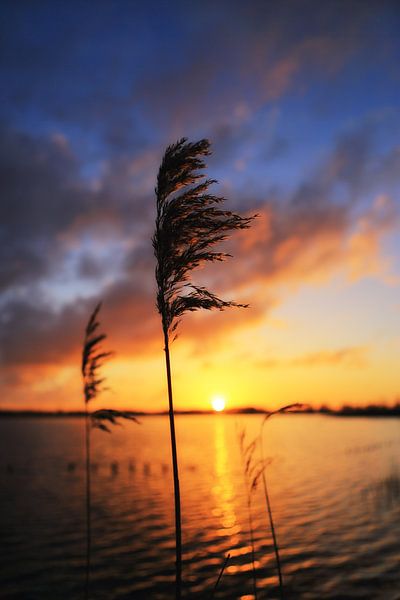 Sonnenaufgang am See von LHJB Photography