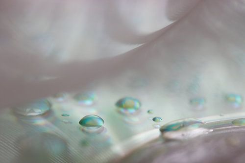 Huil en huil nog eens...