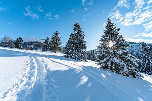 Zon, winter, sneeuw op de Hochgrat