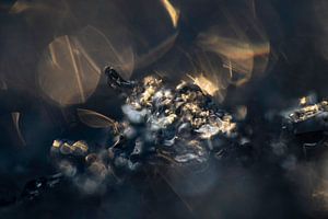 Or et bleu | Photo abstraite | Papillon