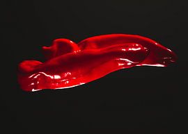 Groente van Lara van der Beek