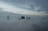 Rotterdamse Schone 