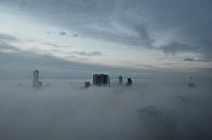 Rotterdamse Schone 