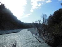 rivier met modderbanken