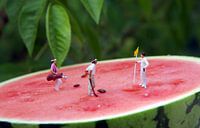 Melon Open