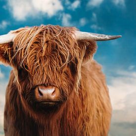 Colourful portrait photo of a Scottish highlander. by Pim Haring