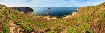 Cap Frehel panorama met vuurtoren op de klif van Dennis van de Water