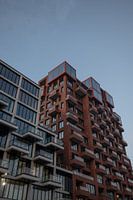 Quai du NDSM à Amsterdam