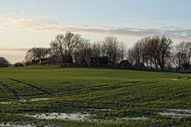 Hillside sur Petra Dreiling-Schewe