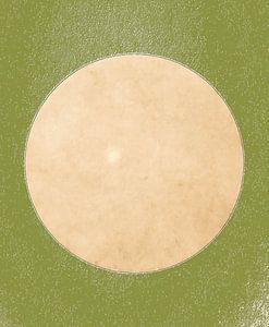 Mond in Sanftem Licht in Naturfarben