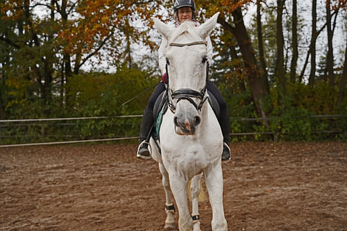 Training met het witte paard op een rijbak in de herfst