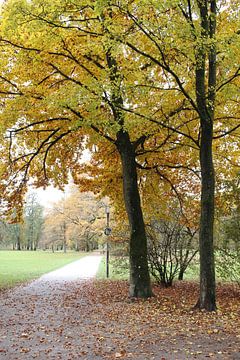 Sentier dans le parc Luitpoldpark à Bad Kissingen en automne sur Martin Flechsig