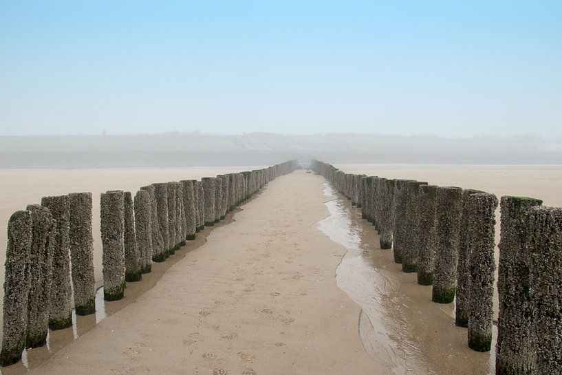 Diepte in Zoutelande aan zee van Irene Lommers