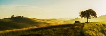 Tuscan Light II sur Lars van de Goor