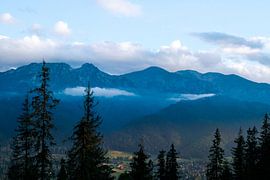 View of the Polish Tatras at an altitude of 1100 m van Yuliya Yarmolich