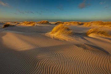 Duinen op Texel van Andy Luberti