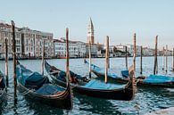De gondels van Venetië, Italië van Milene van Arendonk thumbnail