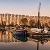 Reflecties in de Rijnhaven van Jens Sessler