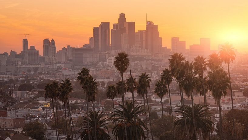 Los Angeles von Photo Wall Decoration