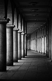 Dresden von Silke R.