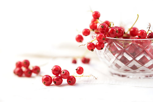 schöne Johannisbeerbeeren aus dem Garten in einer Glasschale und auf dem Tisch, Hintergrund mit Kopi
